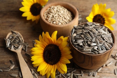 Nutripine Sunflower Seeds | 250GM